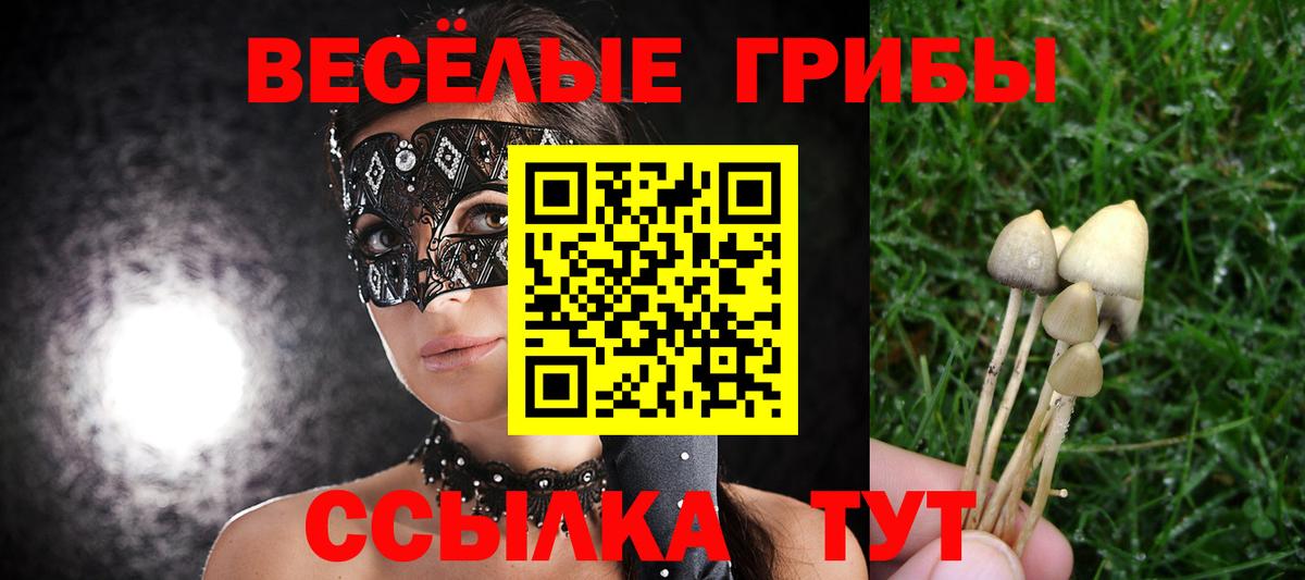 Псилоцибиновые грибы GOLDEN TEACHER  Вход с VPN  Псилоцибиновые грибы Psilocybe  Алапаевск 